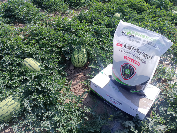 西瓜施肥-马希姆大量元素水溶肥 