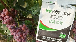 磷酸二氢钾的作用都有哪些？