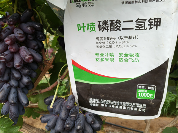 葡萄施肥-马希姆磷酸二氢钾
