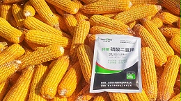 叶面肥用什么?菌酶腐植酸值得信赖