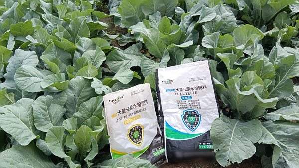 松花菜施肥-马希姆大量元素水溶肥