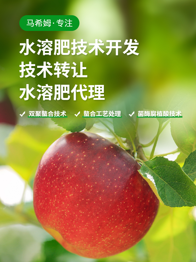 马希姆