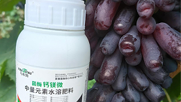 抓住葡萄二次膨大，提质增产有妙招