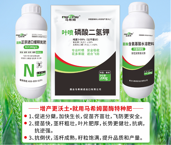 马希姆菌酶水溶肥