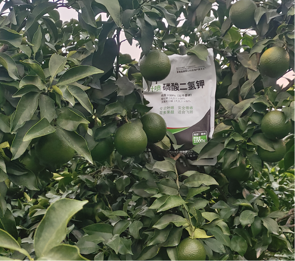 柑橘施肥-马希姆磷酸二氢钾