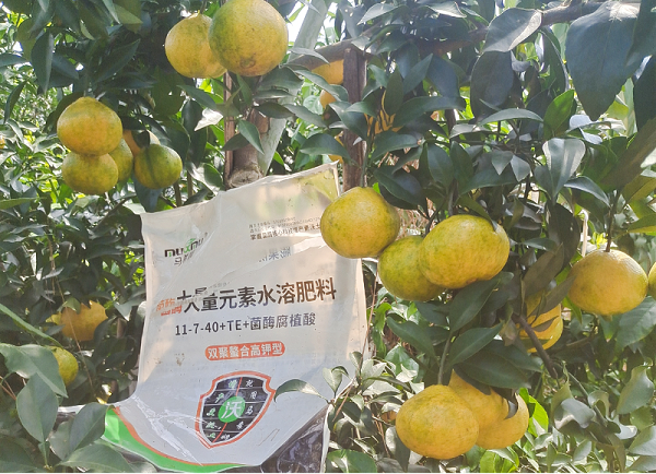 柑橘施肥-马希姆高钾大量元素水溶肥